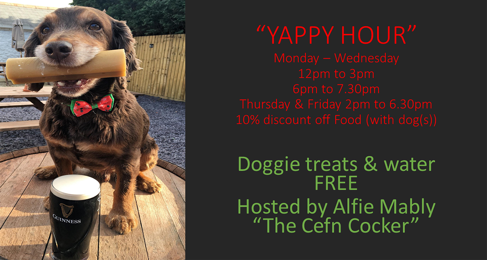 Cefn Mably Arms Yappy Hour